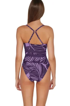 Alexia Mesh One Piece Swimsuit