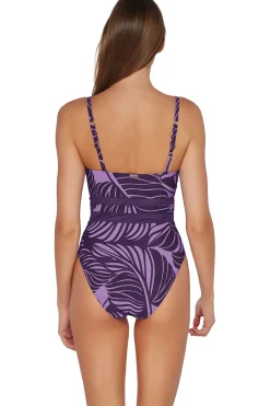Alexia Mesh One Piece Swimsuit