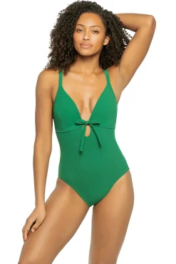 Lenora Plunge One Piece Swimsuit
