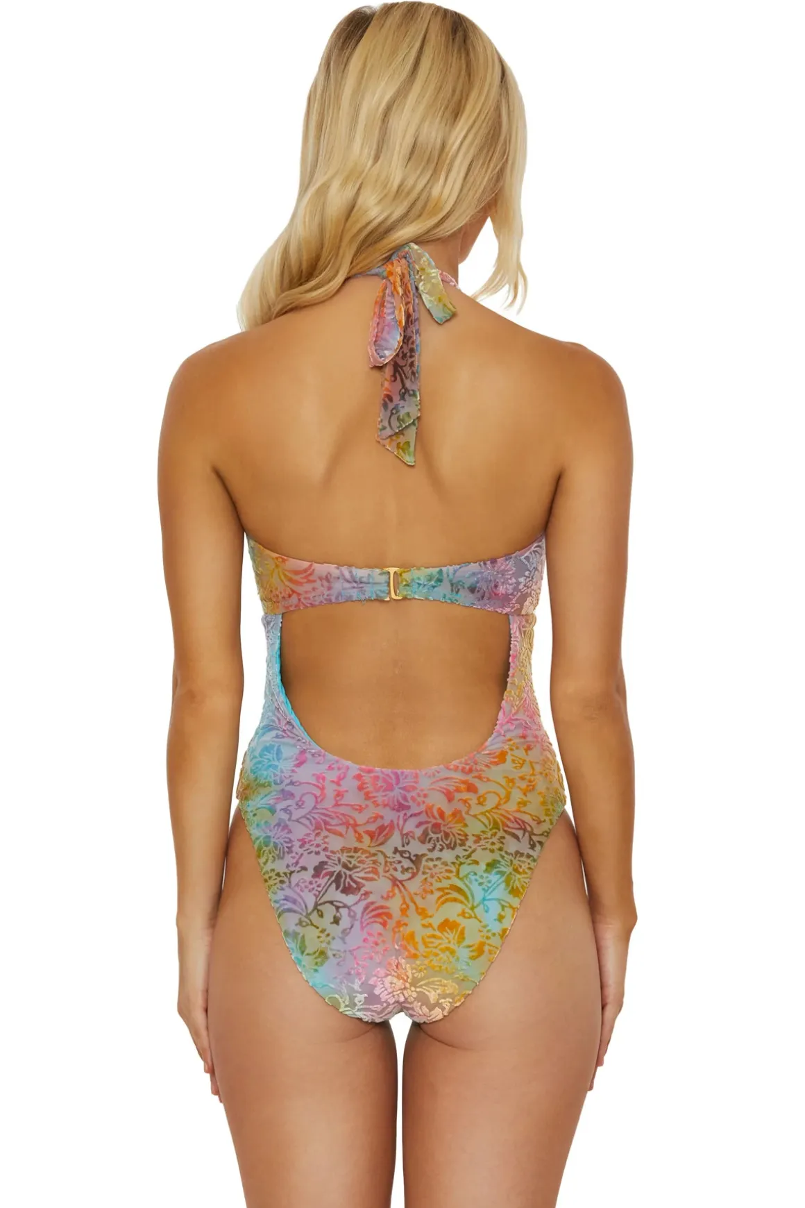 Ombre Burnout One Piece Swimsuit