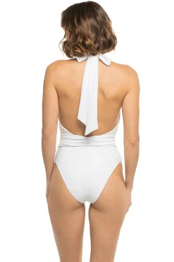 Raquel Halter Plunge One Piece Swimsuit