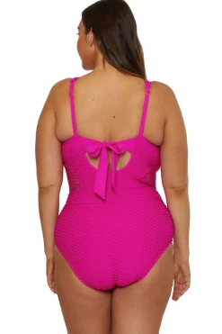 Show & Tell Plunge One Piece Swimsuit