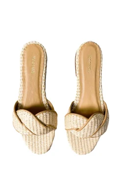 Sierra Slides