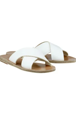 Thais Slides