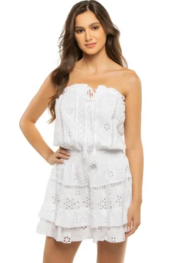Velia Embroidered Strapless Mini Dress